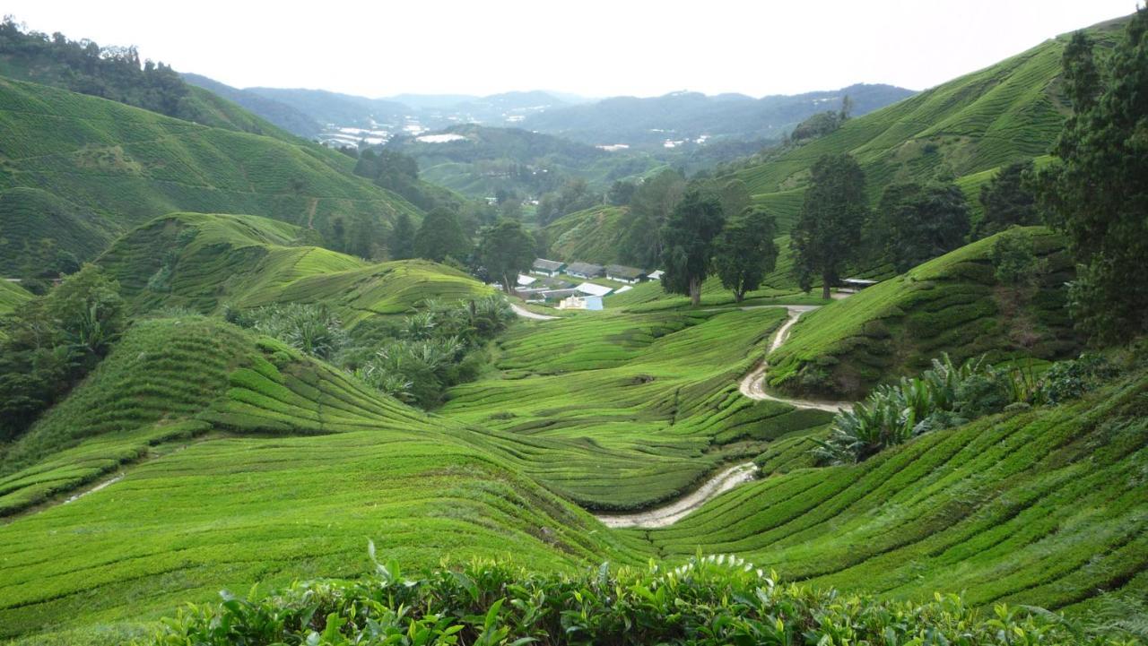 The Quintet Cameron Highlands By Tulip Tanah Rata Eksteriør bilde